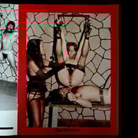 Image 4 of DISCIPLINE CLASSES FOR UNRULY SLAVES #2