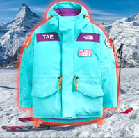 Image 2 of The North Face 🏔️Tae Trans Antarctica 🎿 Expedition 🥶 Parka
