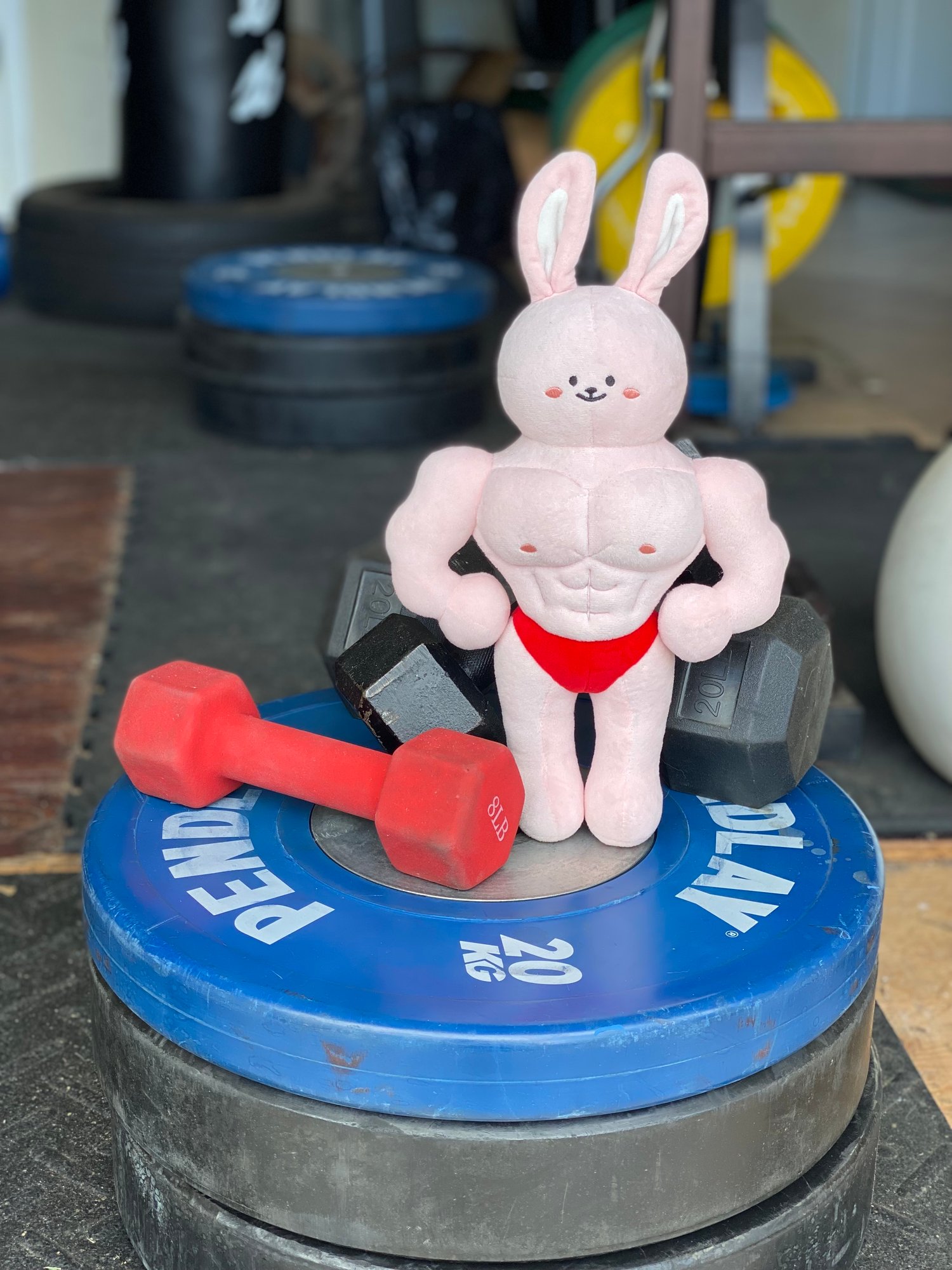 Buff Bunny Plush | cherrypugpie