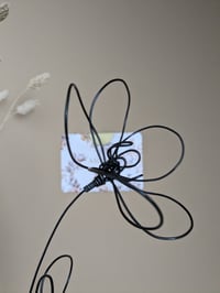 Image 2 of Duo de marguerites