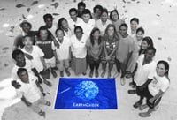 Image 1 of EarthCheck Flags