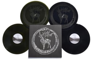 Image of Ást DLP (standard)