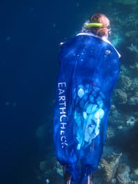 Image 3 of EarthCheck Flags