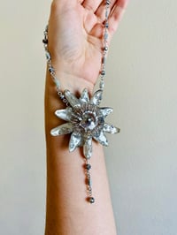 Image 5 of 🪩Disco Passiflora🪩