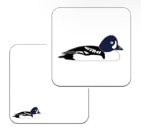 Image 3 of Barrow's Goldeneye - No.139 - UK Birding Pins