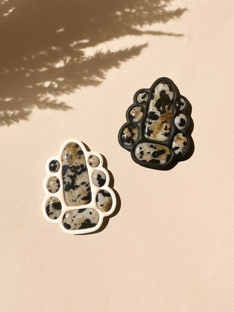 Image of Dalmatian Jasper Duke’s black or cream