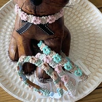 Daisy chain Puppy Collar