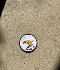 Image 8 of Random Ass Patches