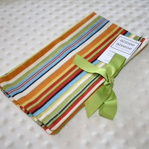 Image of Quick Change Case: Bright Stripes