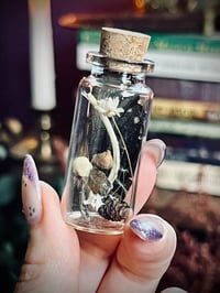 Image 4 of Mini Oddity Jar