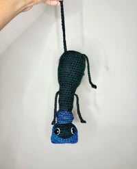 Image 2 of Loopy black cat