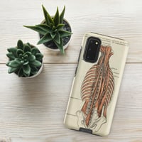 Image 9 of Antique Anatomical Drawing Spine Musculature Tough case for Samsung®