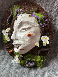Buried, Yet Blooming