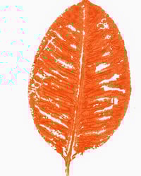 Image 3 of Ficus leaf monoprint