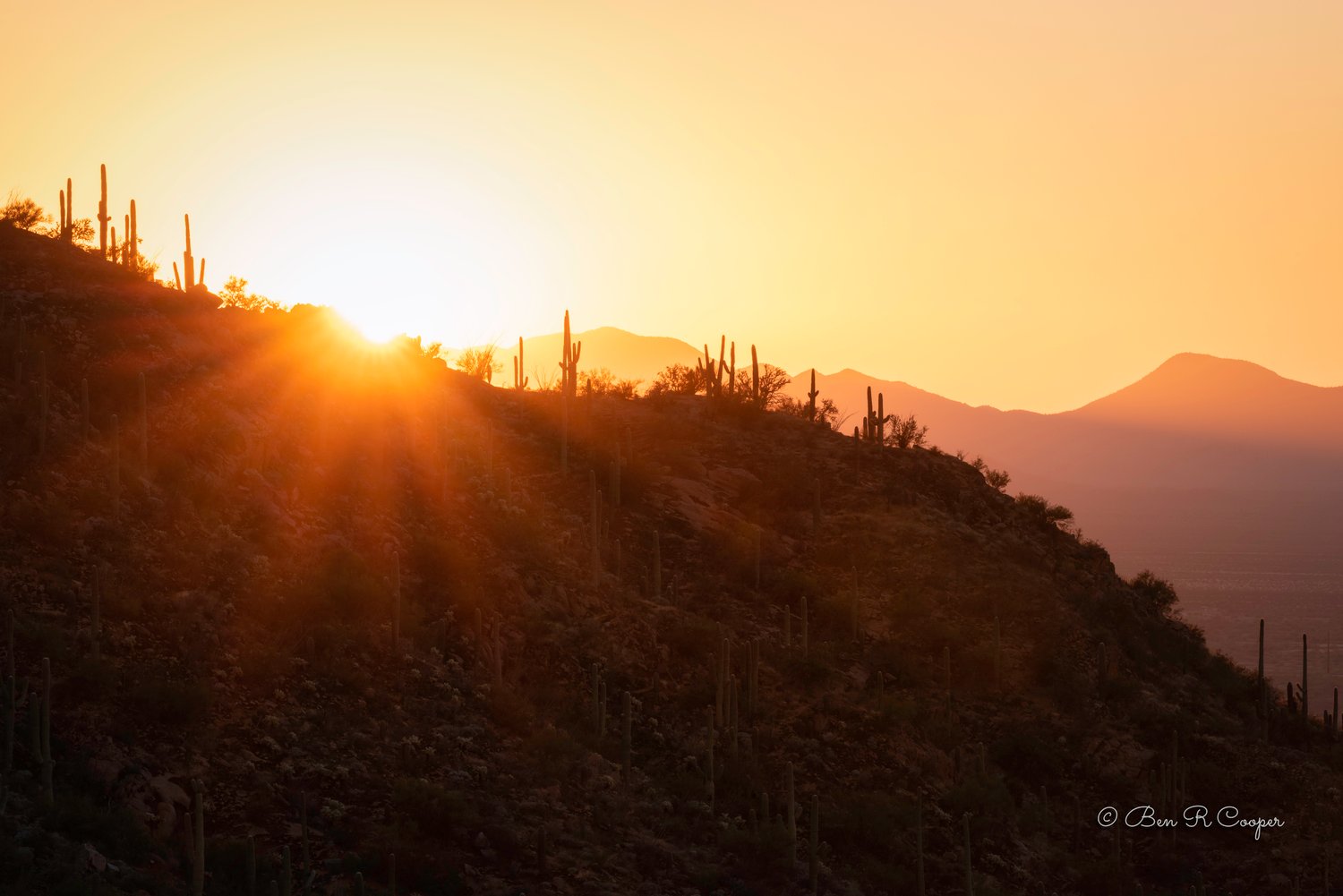 Saguaro National Park Sunset