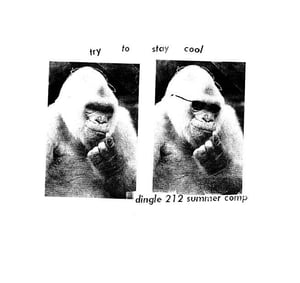 Image of DINGLE RECORDS SUMMER COMPILATION - "TRY TO STAY COOL"