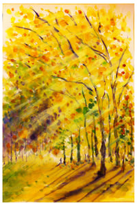 Image of Fragrance of the afternoon forest