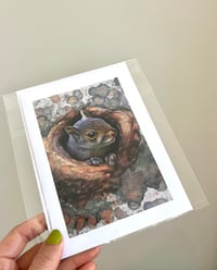 Image 2 of Curious