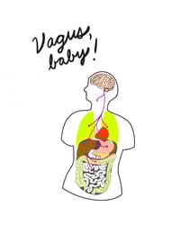 Image 1 of “Vagus, Baby!” print