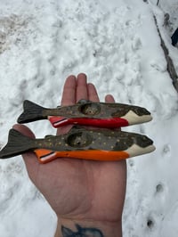 Image 5 of Brook Trout