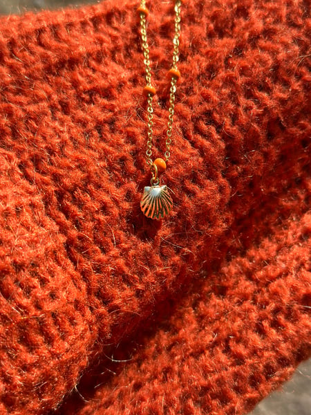 Image of Necklace shell