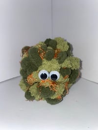 Afghani Bullrider BUDdie