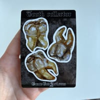 Image 4 of “Tooth collector” artwork sticker sheet