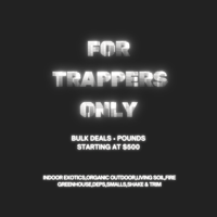 FOR THE PLUGS