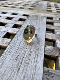 Image 1 of Galaxy Jasper Ring