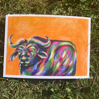 African Bull Print
