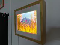 Image 4 of MAX MOYER - 'Larch Tree Light Box"