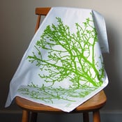 Image of Tree towel No.7