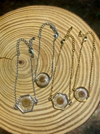 Image 7 of Clasp Closure Chain Bracelet 