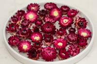 Image 1 of 60 Strawflower Heads - Purple Red Dragon Fire