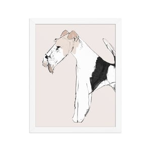 Image of WIRE FOX TERRIER