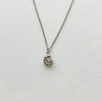 Image 3 of SILVER SHELL