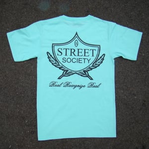 Image of THE STREET SOCIEY LOGO SHIRT IN BLACK/ON MINT
