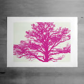 Image of The Roost print