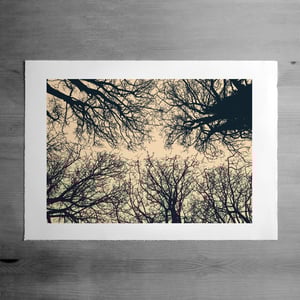 Image of The Sentinels print