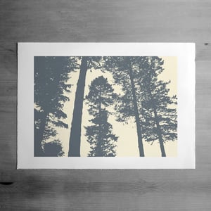Image of Silverwood 3 print