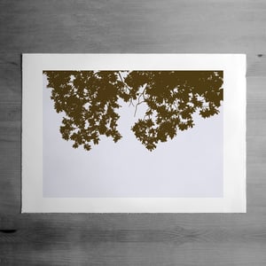 Image of Summer Bough print