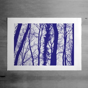 Image of Wyebank print