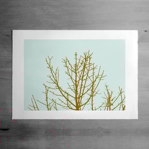 Image of Hilltop print