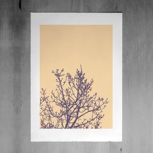 Image of Springtide print