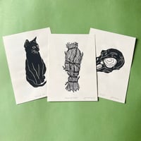 Image 1 of Witch Collection