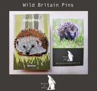 Image 1 of Hedgehog - #1 - Wild Britain Series