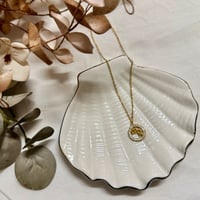 Image 1 of ΑΤΣΑΛΙΝΟ ΚΟΛΙΕ ΠΑΡΘΕΝΟΣ