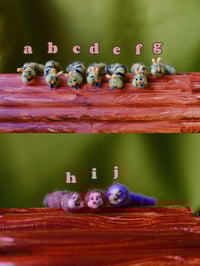 caterpillars