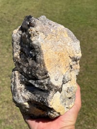 Image 4 of Large Smoky Quartz Points Cluster #2319