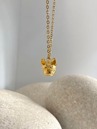 Image 4 of Collares de animales